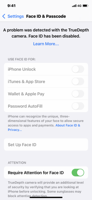 TrueDepth camera issue.png