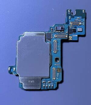 2025 06 29 08 45 IMG 8543.JPG