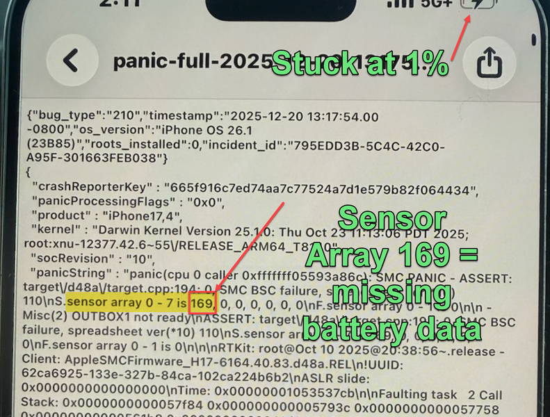 File:IPhone 16 panic log 169.png