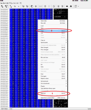 Comparing the files.png