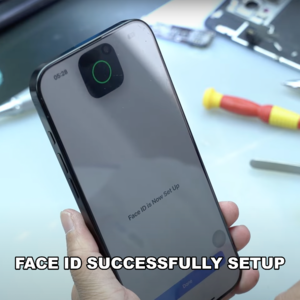 Face-id-success.png