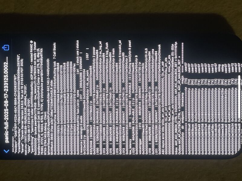 File:Panic full 14 pro max .jpeg